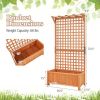 Raised Garden Bed with Trellis and Hanging Roof