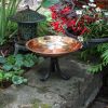 Dogwood Birdbath with Tripod Stand