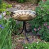 African Daisy Birdbath with Tripod Stand