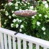 Red African Daisy Birdbath with Rail Mount Bracket
