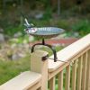 Scallop Shell Birdbath with Over Rail Bracket