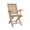 Tropico Folding Armchair