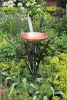 Single Cattail Birdbath
