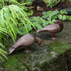 Bronzed Doves