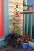 Spiral Trellis