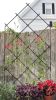 Freestanding Lattice Trellis
