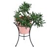 Multi-Use Stand for Planters and Birdbaths