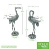 Preening Crane Pair