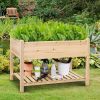 Solid Wood 2-Tier Raised Garden Bed