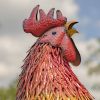 "Robert" the Giant Iron Rooster Garden Statue