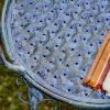 Coastal Sea Creature Armchair