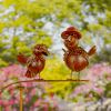 Assorted Bird Balance Stakes