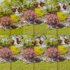 Assorted Bird Balance Stakes