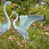 Gorgeous  Iron Paradise Cranes
