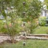 Antique Bronze Rain Chain with Mushrooms