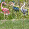 Assorted Iron Bird Garden Stakes