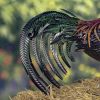 "Felix" the Painted Iron Rooster Decoration