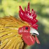 "Maxwell" the Painted Iron Rooster Decoration