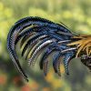 "Maxwell" the Painted Iron Rooster Decoration