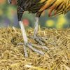 "Maxwell" the Painted Iron Rooster Decoration