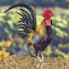 "Hugo" the Painted Iron Rooster Decoration