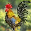 "Hugo" the Painted Iron Rooster Decoration