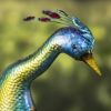 "Royal and Sapphire" the 2 Life-Sized Peacocks