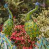 "Royal and Sapphire" the 2 Life-Sized Peacocks
