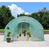 Backyard Walk-in Greenhouse ~ 8 Windows