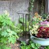 Tulip Stands