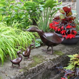 Family of Ducks (Character: Pair of Ducklings)