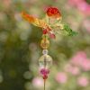 22" Tall Five Tone Acrylic Pot Stakes in 6 Assorted Colors