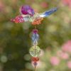 22" Tall Five Tone Acrylic Pot Stakes in 6 Assorted Colors