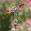 22" Tall Five Tone Acrylic Pot Stakes in 6 Assorted Colors