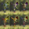 Five Tone Acrylic Garden Stakes in 6 Assorted Colors