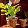 Set of 2 Tuscan Style Round Ceramic Flower Pots