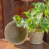 Set of 2 Tuscan Style Round Ceramic Flower Pots