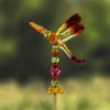 Five Tone Acrylic Garden Stakes in 6 Assorted Colors