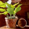 Set of 2 Tuscan Style Round Ceramic Flower Pots