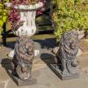"Harold & Leo": Pair of Lion Sentry Statues with Fleur-De-Lis