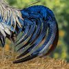 28" Tall Painted Iron Rooster Decoration