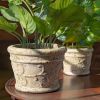 Set of 2 Tuscan Style Round Ceramic Flower Pots